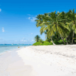 Saona Island Beach